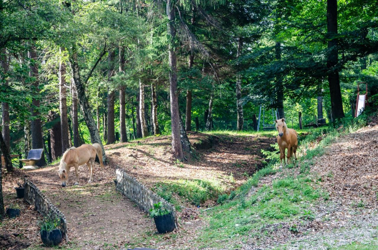 Bellosta Family Country Club Mb Alpe Moiana Armeno Εξωτερικό φωτογραφία